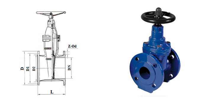 Cast iron gate valve 30ch39r rubber-seated wedge