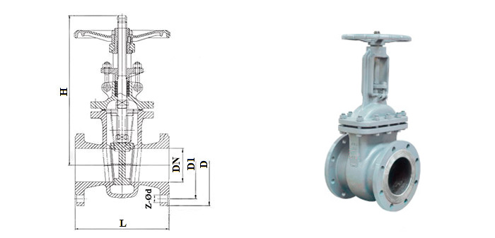 Flanged steel gate valve 30s41nzh Premium