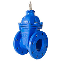 Cast iron gate valve 30ch539r, 30ch939r with rubber-seated wedge for electric actuator